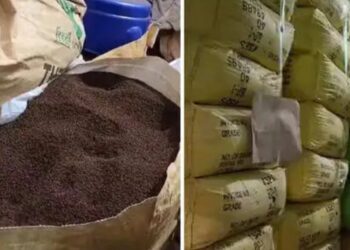 लखनऊ में नकली चायपत्ती बनाने वाली फैक्ट्री का भंडाफोड़, यूपी STF और FSDA की टीम ने की छापेमारी