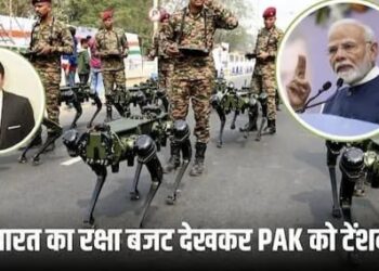 भारत का रक्षा बजट देखकर PAK एक्सपर्ट बोले- चीन तो ताकतवर लेकिन इस्लामाबाद के लिए ‘खतरा’