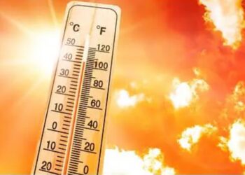 हो जाइए सावधान इस बार गर्मी तोड़ सकती है कई रिकॉर्ड्स, डॉक्टर्स ने कहा इन चीजों का कम कर दें सेवन