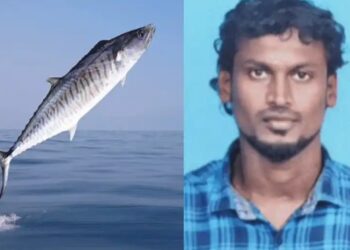 शिकारी बना शिकार : पकड़ते ही मछली शख्स के गले में घुसी, सांस रुकी.. दम घुटा और मौत हो गई