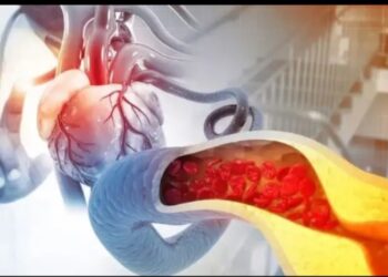 कोलेस्ट्रॉल को समय रहते करें कंट्रोल, वरना हो सकता है पांच गंभीर बीमारियों का खतरा