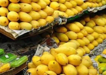 अमेरिका ने भारत के 15 आम से लदे शिपमेंट की नहीं दी एंट्री, दस्तावेजों में बताई गड़बड़ी, आगे क्या होगा?