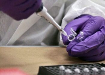 फर्टिलिटी सेंटर की आड़ में चल रहा था गंदा काम, दंपती ने कराया बच्चे का DNA टेस्ट तो उड़ गए होश; 10 लोग गिरफ्तार