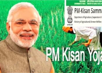 PM Kisan Samman Nidhi की 20वीं किस्त आ गई?