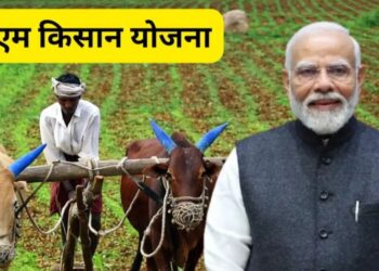 PM Kisan 22th Installment: जानिए कब जारी हो सकती है पीएम किसान योजना की 22वीं किस्त , जानें किन किसानों के अटक सकते हैं 2000 रुपये
