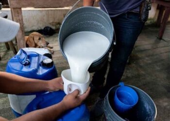 FSSAI का बड़ा फैसला: अब दूध के हर कारोबारी को कराना होगा रजिस्ट्रेशन, जानें क्या है पूरी प्रक्रिया