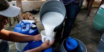 FSSAI का बड़ा फैसला: अब दूध के हर कारोबारी को कराना होगा रजिस्ट्रेशन, जानें क्या है पूरी प्रक्रिया