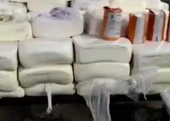 गुजरात के सूरत में नकली पनीर की फैक्ट्री का पर्दाफाश, दूध की जगह ख़तरनाक केमिकल से होता था तैयार