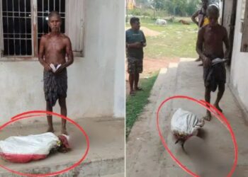 बैंक ने माँगा मौत का सबूत तो कब्र से बहन का कंकाल निकालकर बैंक पहुंचा भाई! दिल को झझकोर देने वाली ख़बर