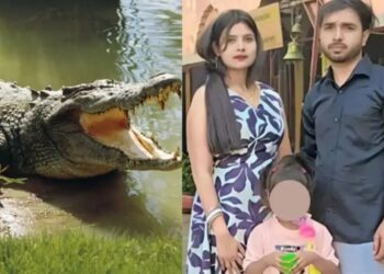 सास की चिता सजाकर हाथ धोने गया था दामाद, मगरमच्छ ने सिर दबोचा और जिंदा निगल गया; रोंगटे खड़े कर देने वाला मंजर