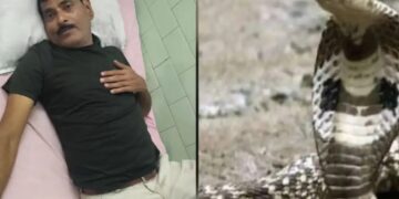 बाइक में बनाया साँप ने अपना बिल : घर से ही गाड़ी में छिपकर बैठा था, रास्ते में निकला और जांघ पर डस लिया